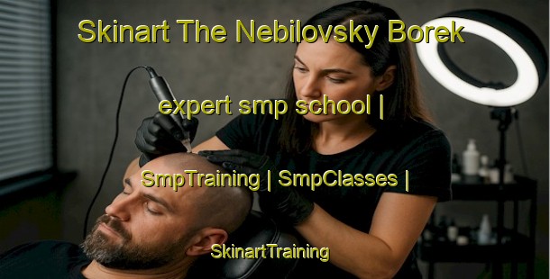 Skinart The Nebilovsky Borek expert smp school | SmpTraining | SmpClasses | SkinartTraining-Czech Republic